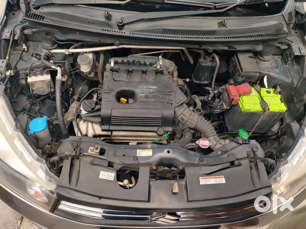 Showroom Maintenance, Single Driver,no Accessories Need