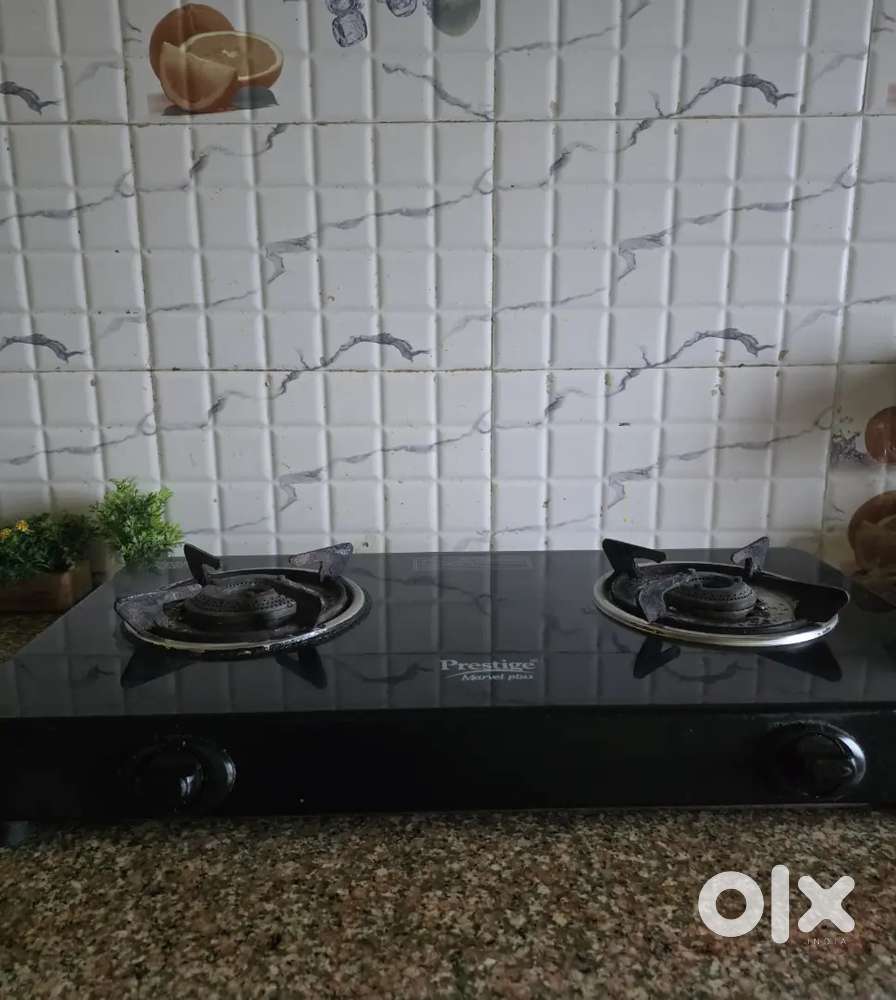 New flame only 5 month automatic starter