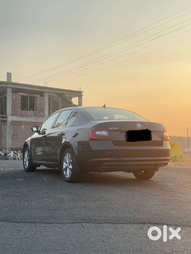Skoda Octavia L&k 2020