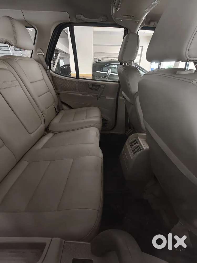 Safari 100% Stock Mint Condition