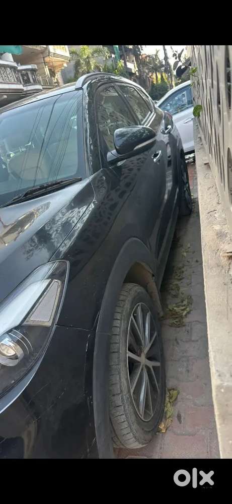 Black Beauty Tucson Automatic