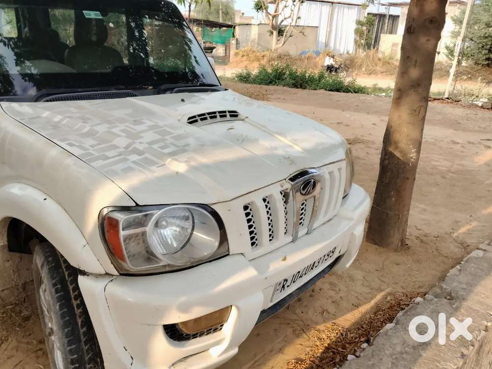 Body Condition 1 Number Condition