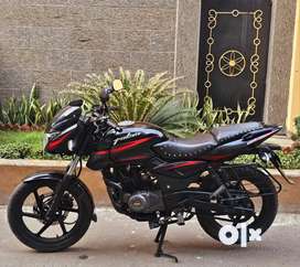 Olx bike pulsar online 180