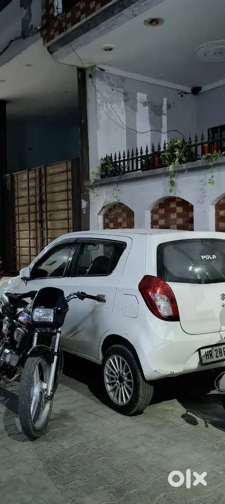 Alto 800 Brand New