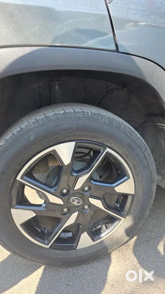 Tata Punch 2023 Petrol 27500 Km Driven
