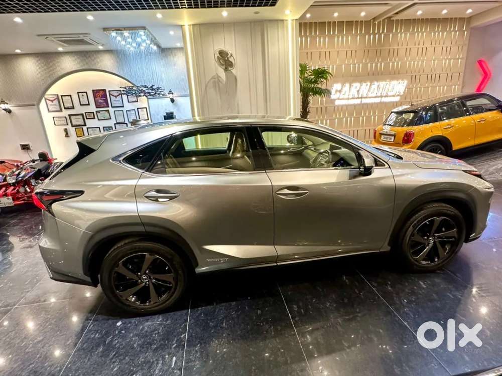 Lexus Nx, 2020, Petrol