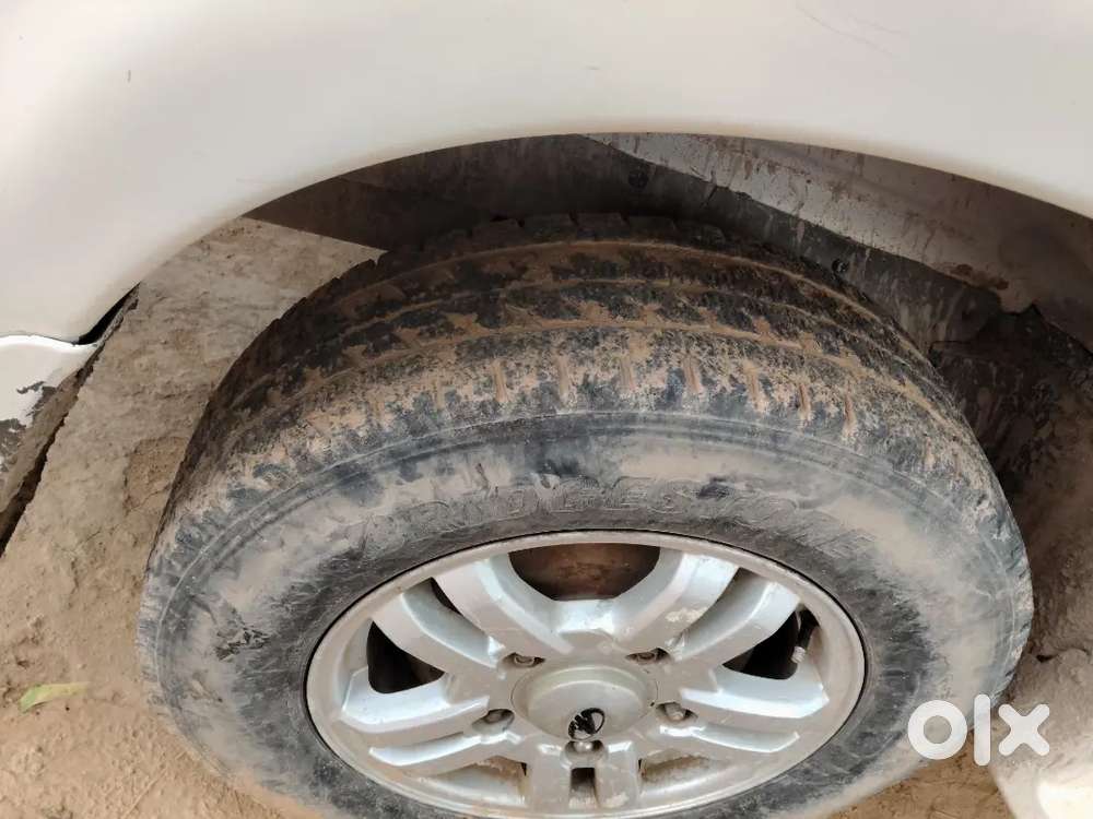 Body Condition 1 Number Condition