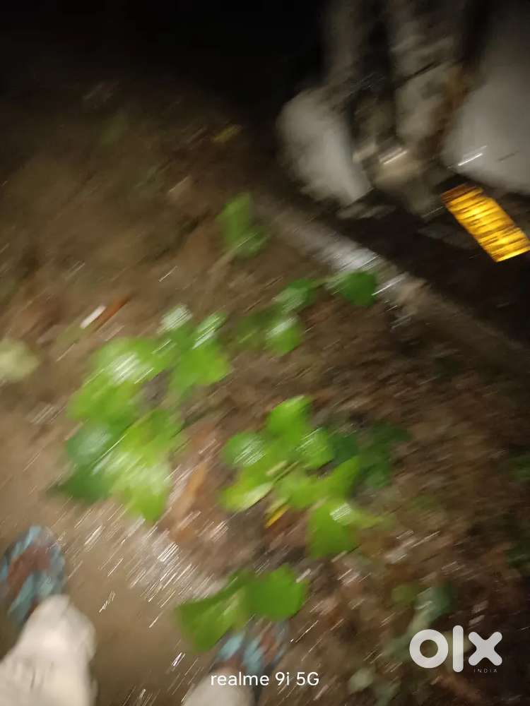 Maruti Suzuki Dzire 2015