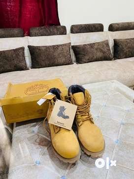 Olx timberland sale shoes