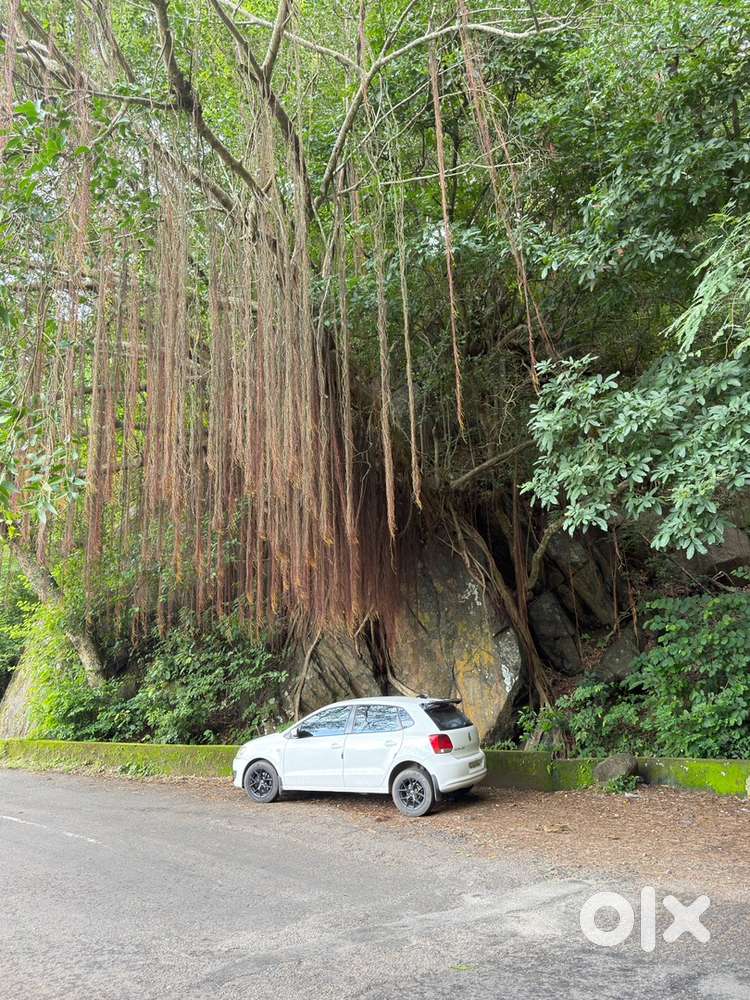 Volkswagen Polo 2010 Diesel Car