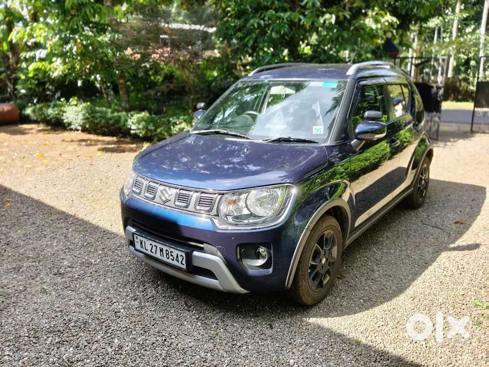 Maruti Suzuki Ignis Petrol 2024
