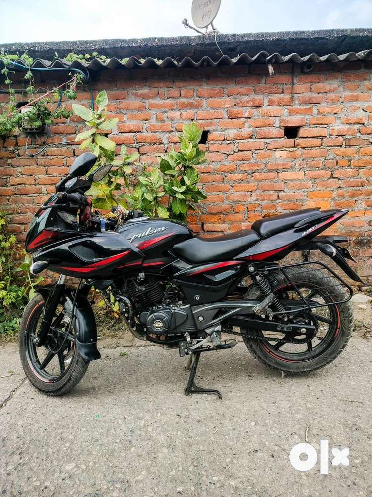 Pulsar 220 second hand olx deals