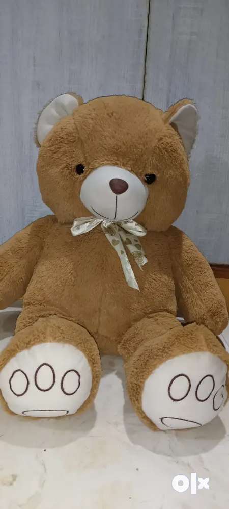 teddy bear in dmart