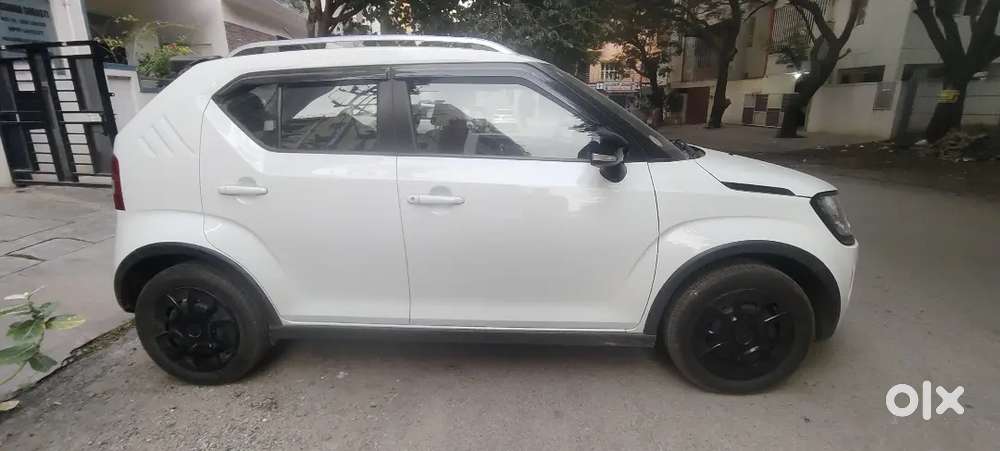 Maruti Suzuki Ignis Petrol 2024