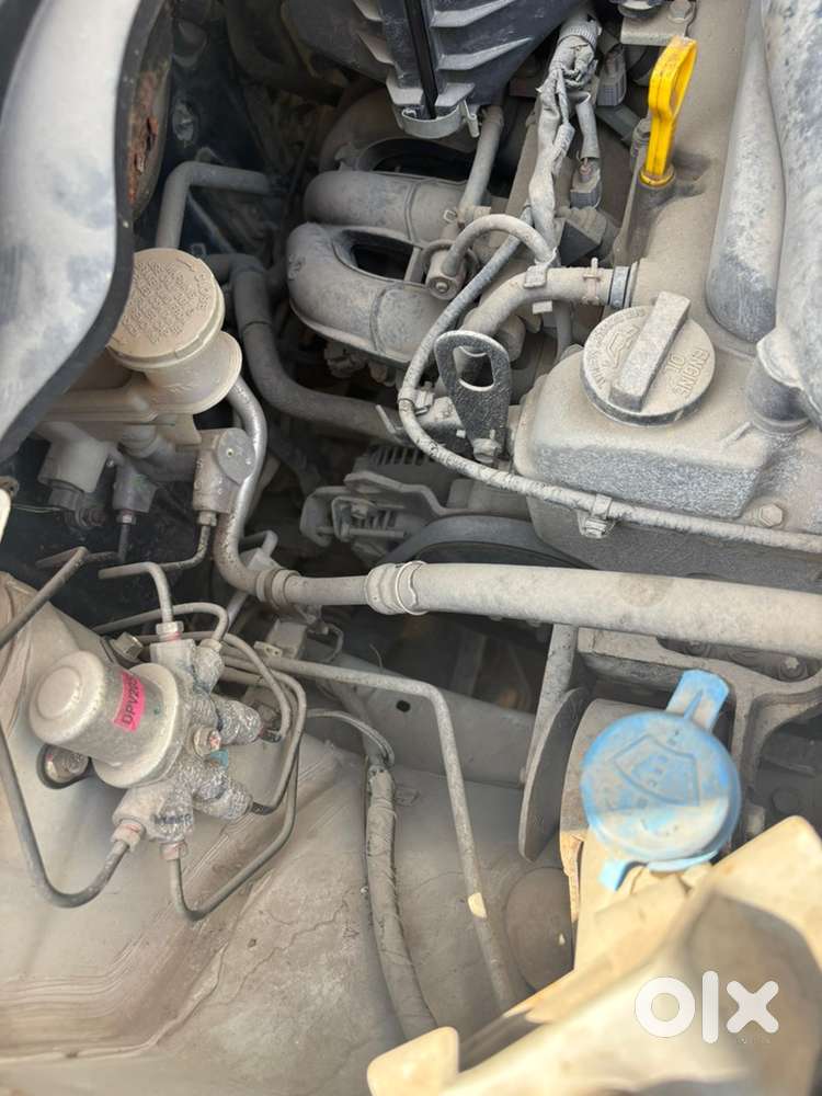 Maruti Suzuki Car 2011