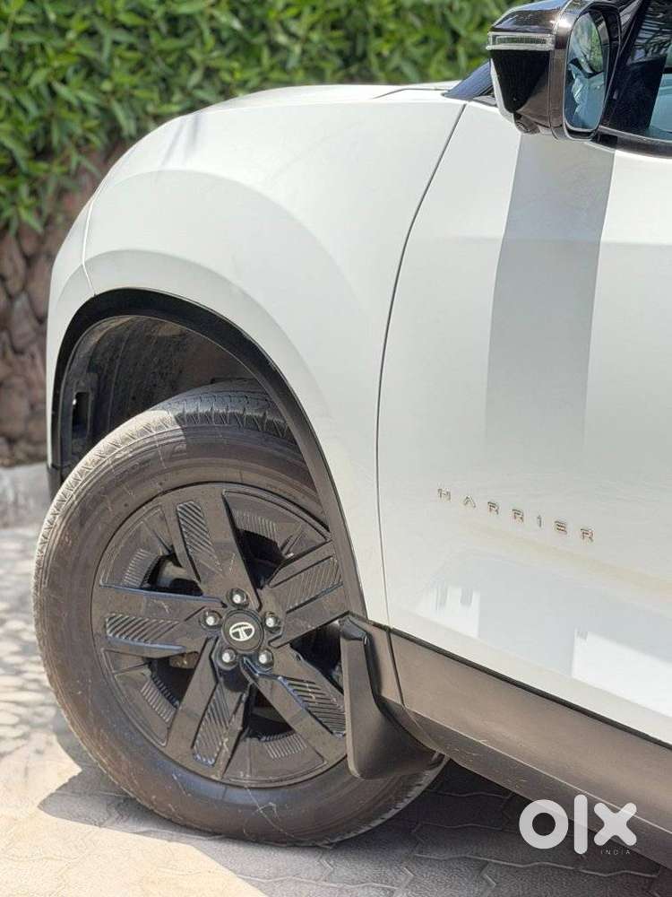 Tata Harrier Adventure Plus At, 2024, Diesel