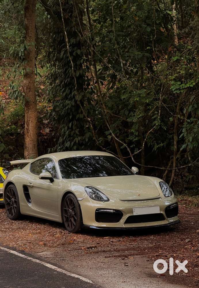 Porsche Cayman S 981
