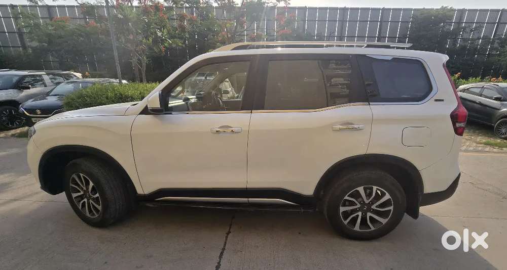 Scarpio N Z8l Automatic