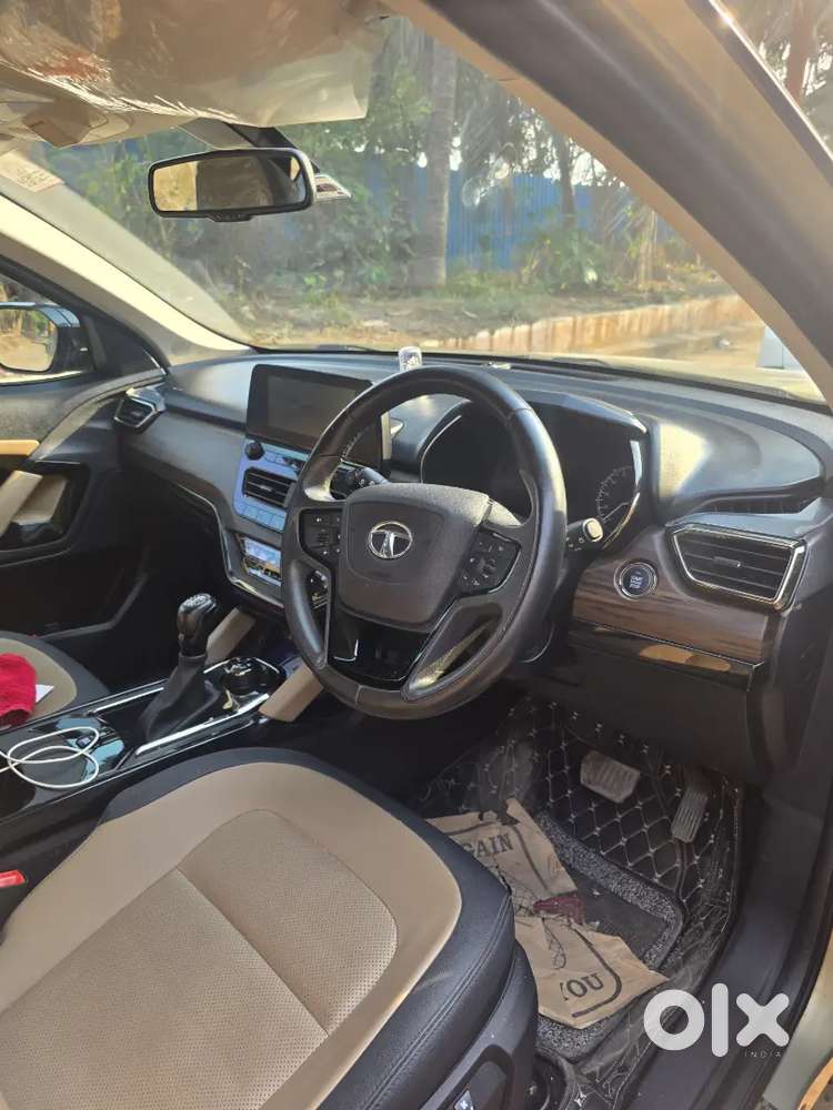 Showroom Condition Safari Limited Edition Top Model