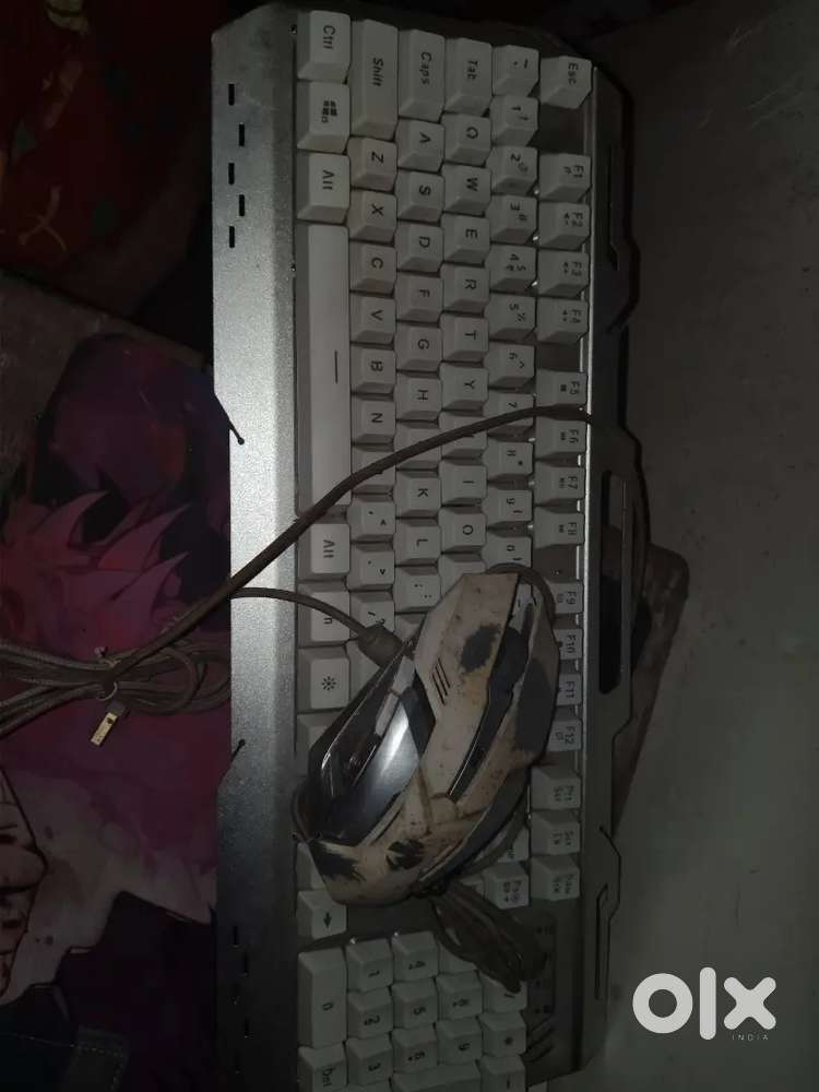 Keyboard and mouse