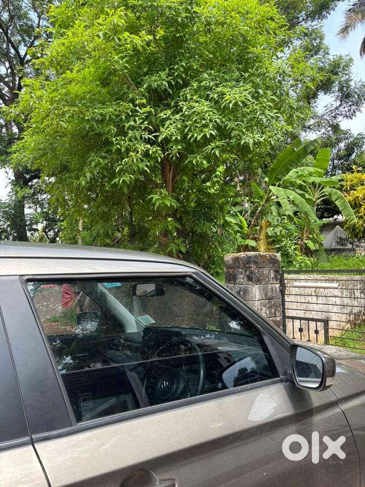 2025 Maruti Suzuki Km Driven