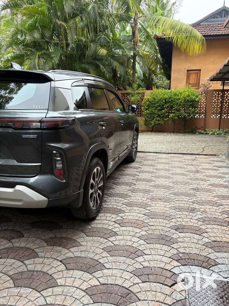 2023 June Grand Vitara Alpha Smart Hybrid(full Option)