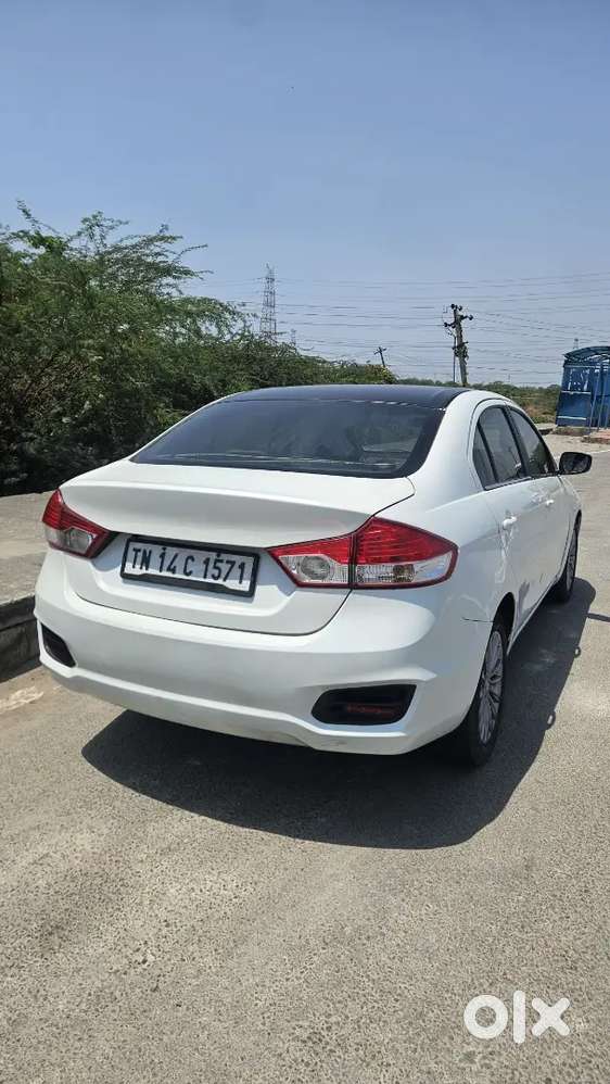 Maruti Ciaz Diesel