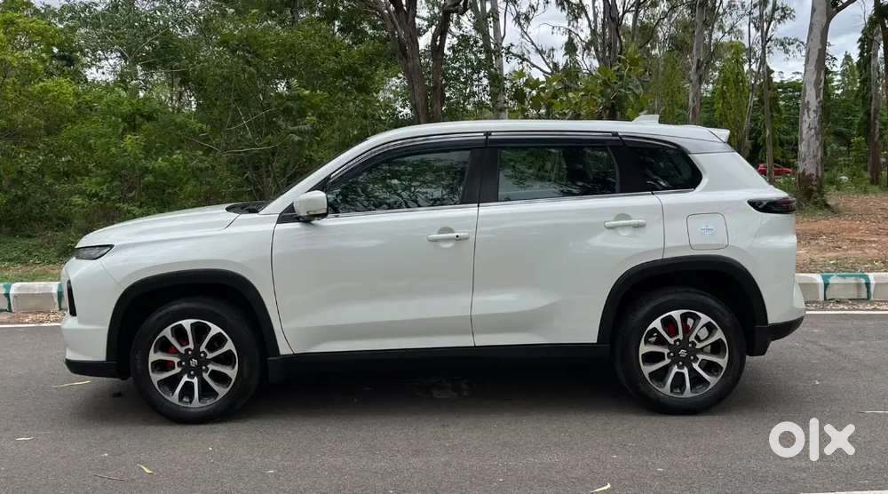 Maruti Suzuki Grand Vitara 2023 Petrol Well Maintained