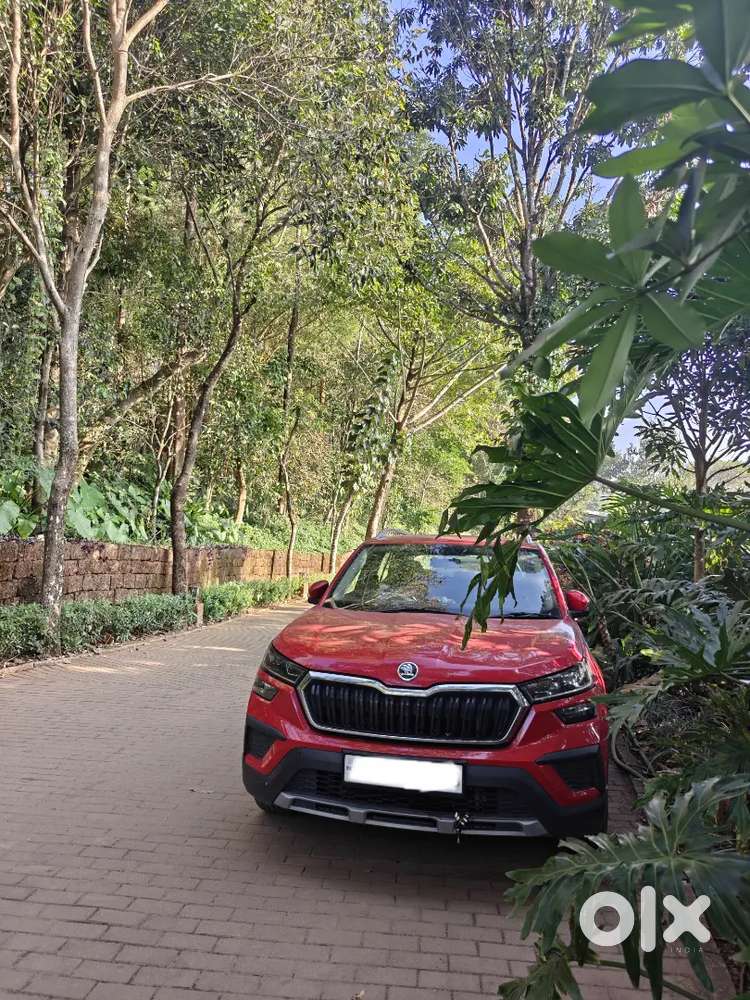 Skoda Kushaq 2024 Petrol 38000 Km Driven (excellent Maintanance)