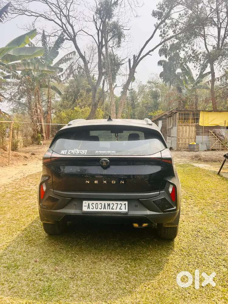 Tata Nexon 2024 Petrol 23000 Km Driven