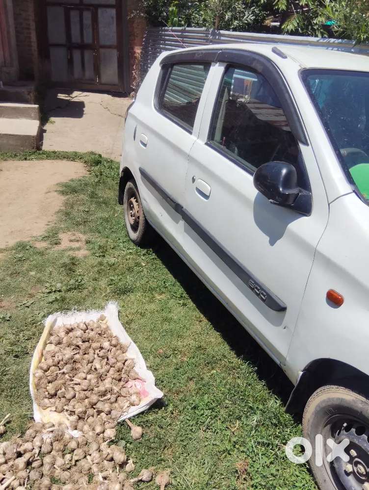 Maruti Suzuki 800 2015