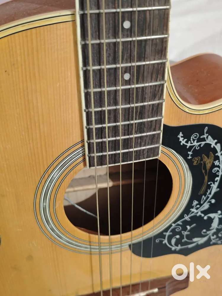 Acoustic Guitar
