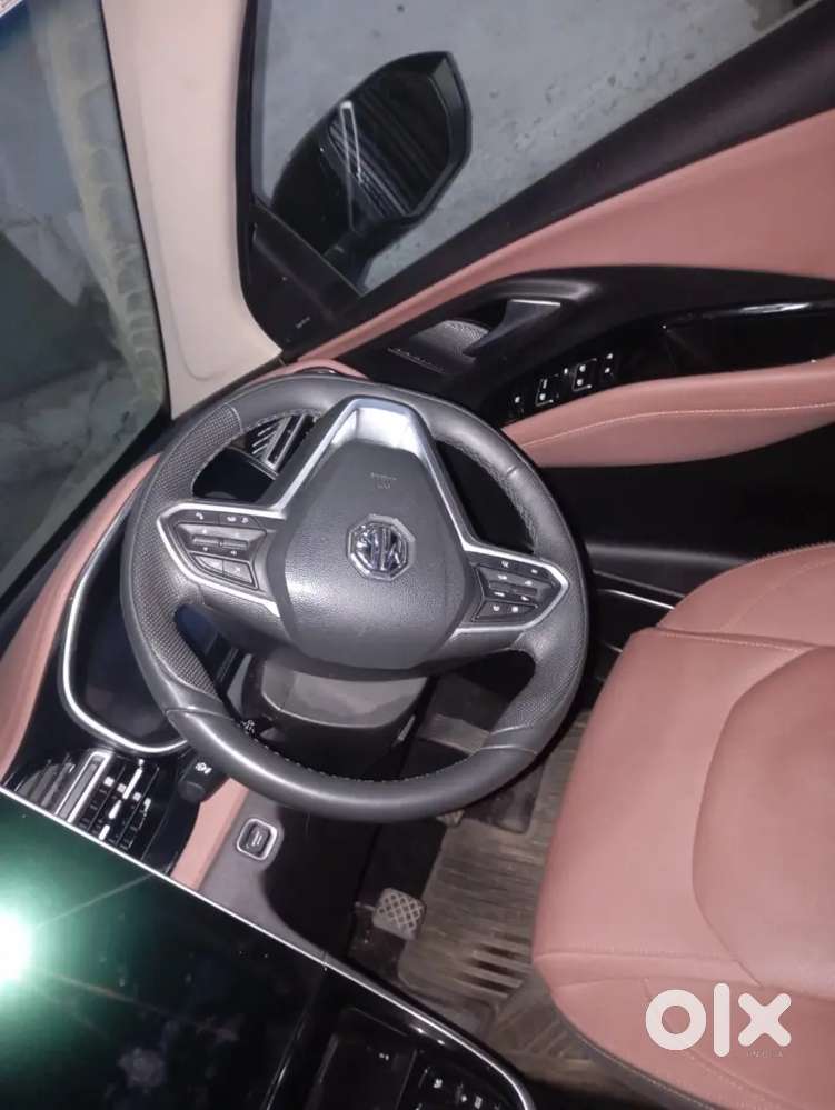 Mg Hector 2024 Diesel Well Maintained