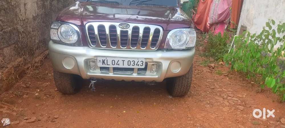 Scorpio Royal Maroon