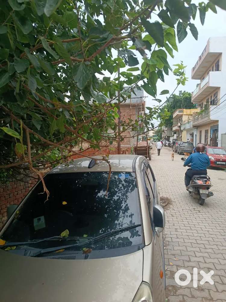 Maruti Suzuki Estilo 2011 Lxi Cng