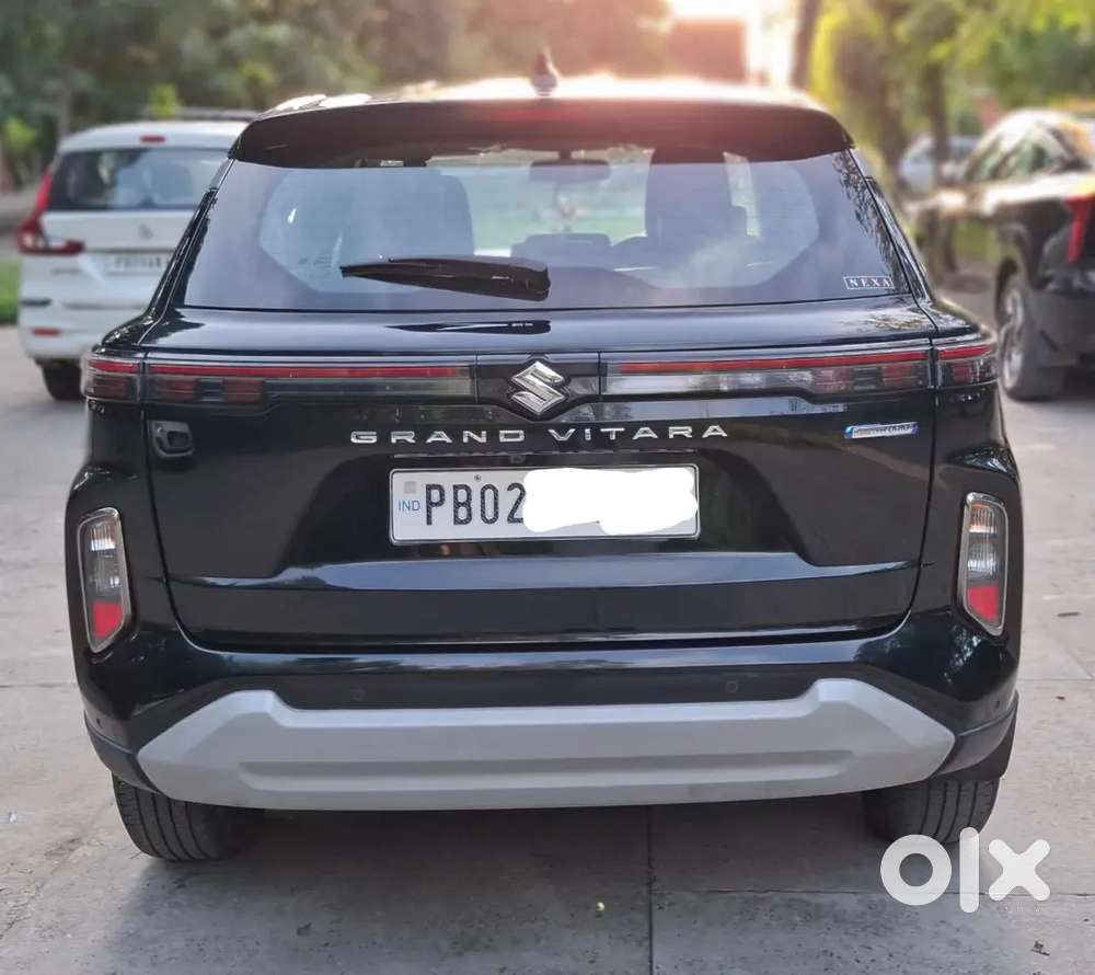 Maruti Suzuki Grand Vitara 2023 Petrol 49000 Km Driven
