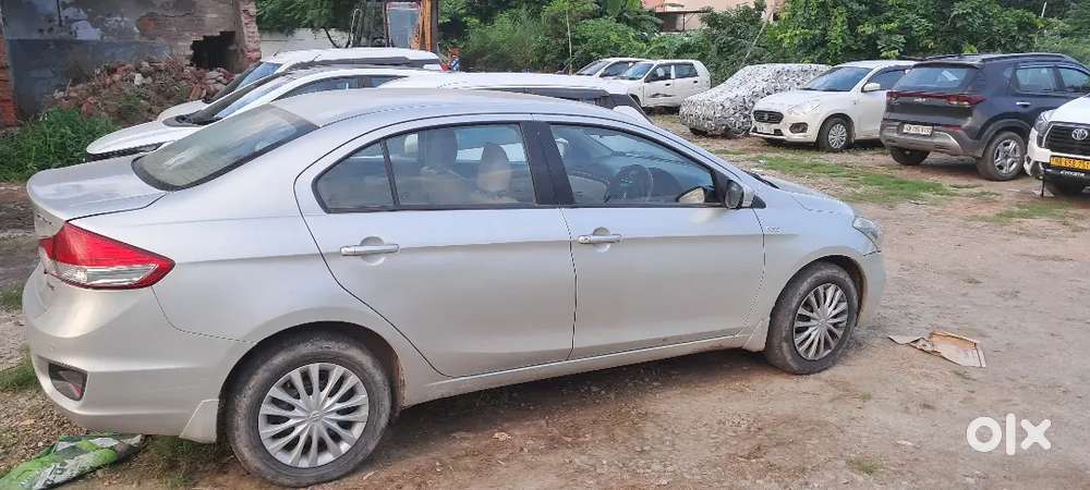 Maruti Suzuki Ciaz 2016 Diesel