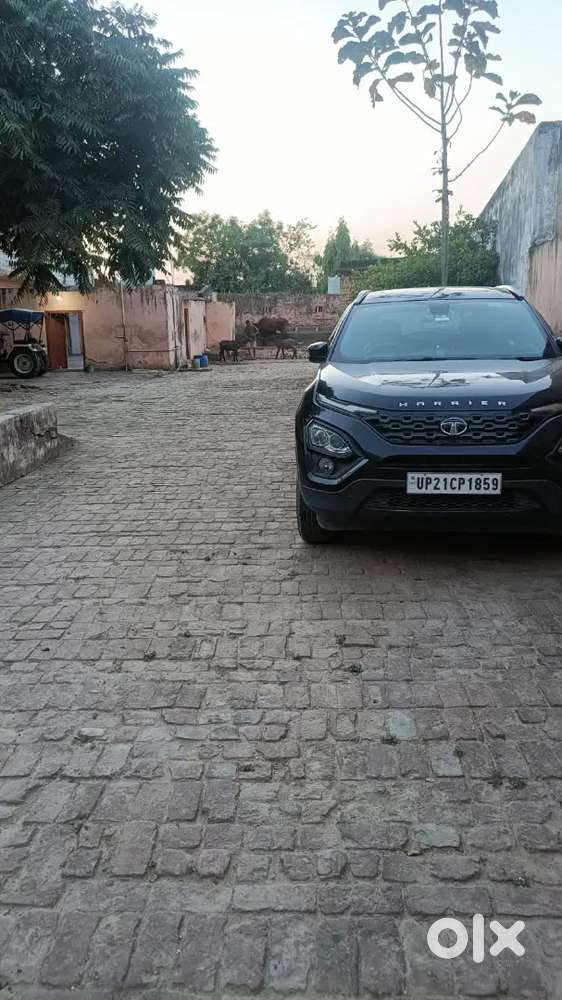 Tata Harrier 2021 Brand New Condition Complete Service No Issue