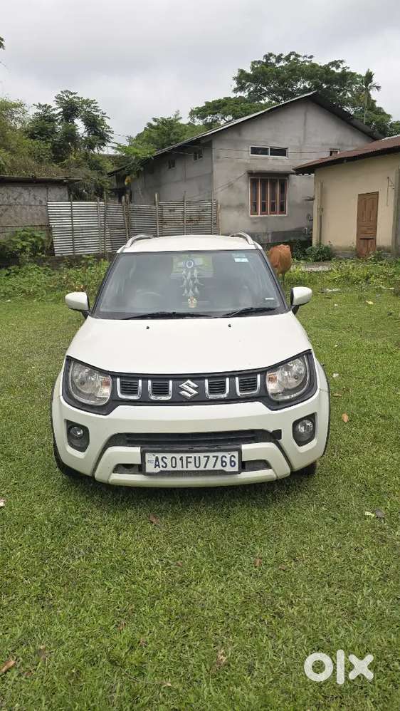 Maruti Suzuki Ignis 2024 Petrol Well Maintained