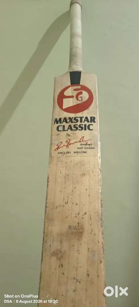English willow cricket bat