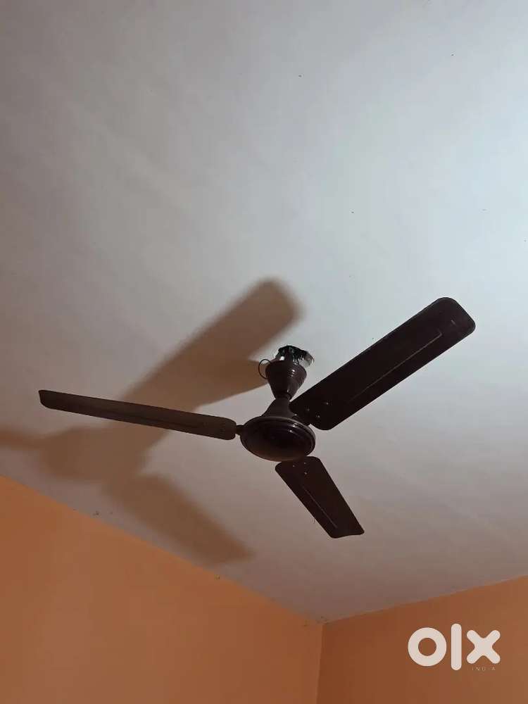 Moving out SALE! 4 ceiling fans - 100% working