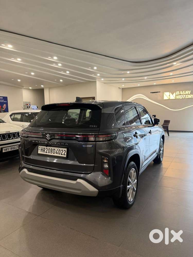 Maruti Suzuki Grand Vitara 1.5 Delta Smart Hybrid, 2026, Petrol