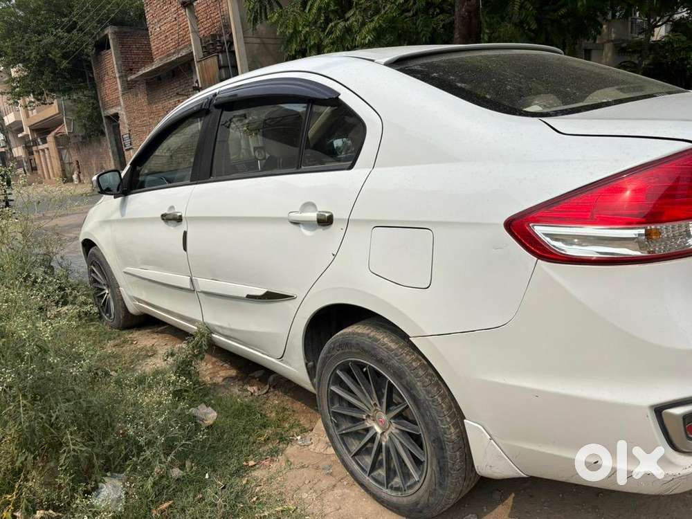Maruti Suzuki Car 2021