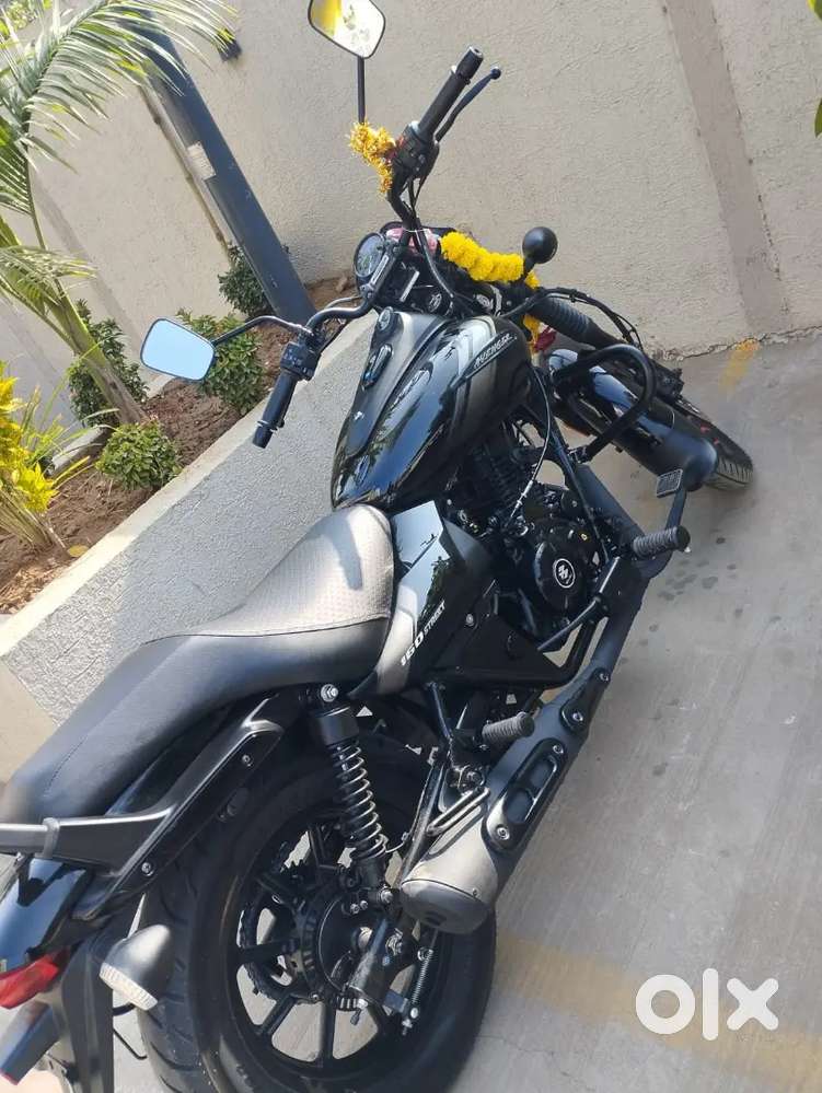 Bajaj Avenger Street 2026