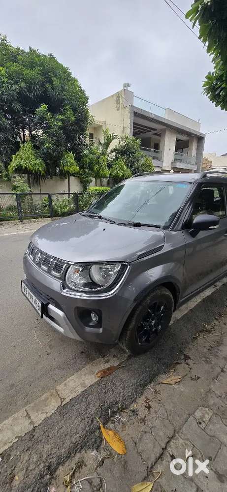 Maruti Suzuki Ignis 2022 Petrol Manual Excellent Condition
