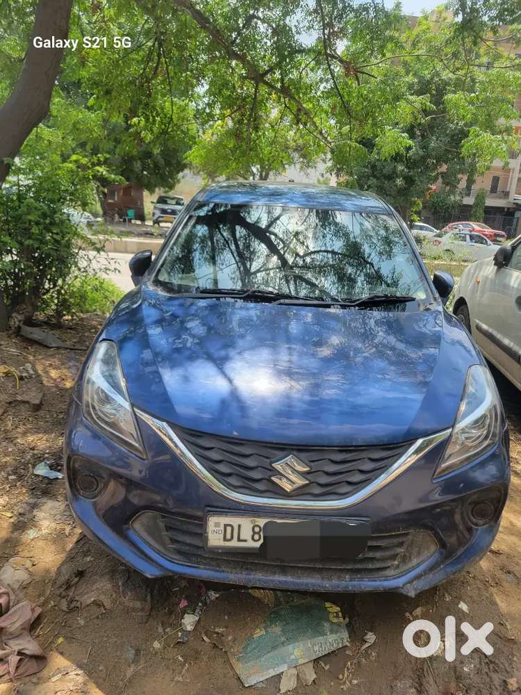 Baleno Delta Variant Alpha Model Display