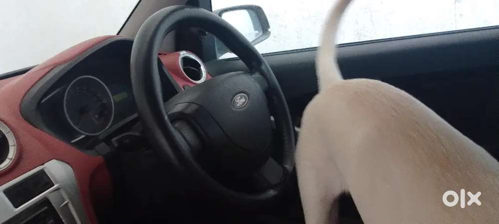 Ford Figo Diesel Titanium 2010