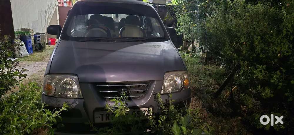 Hyundai Santro 2009 Petrol
