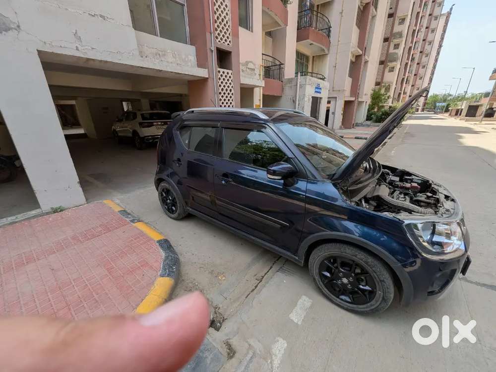 Maruti Suzuki Ignis 2024 Amt Petrol 6090 Km Driven