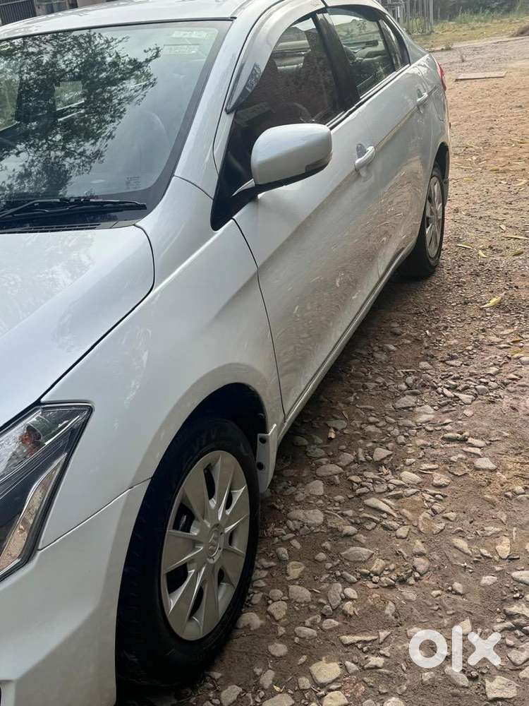 2016 Maruti Suzuki Diesel